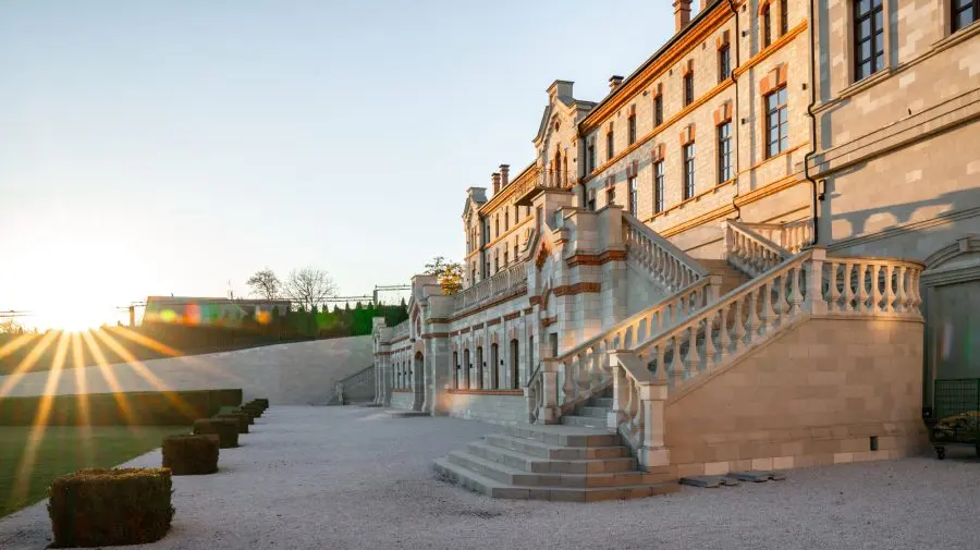 Vinurile Castel Mimi – jumătate de milion de sticle consumate anual de experți și amatori, din Japonia până în Canada