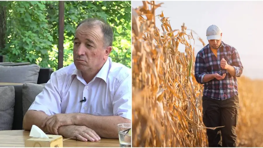 Fermierii mici și mijlocii riscă să falimenteze! Mîrzenco: Trebuie să ținem cont și de situația economică din țară