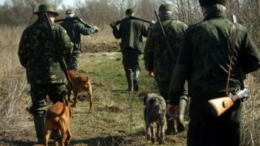 Exact ca-n anii ’90! Inspectori de mediu, atacați în pădure de inși cu automate, pistoale și arme de vânătoare