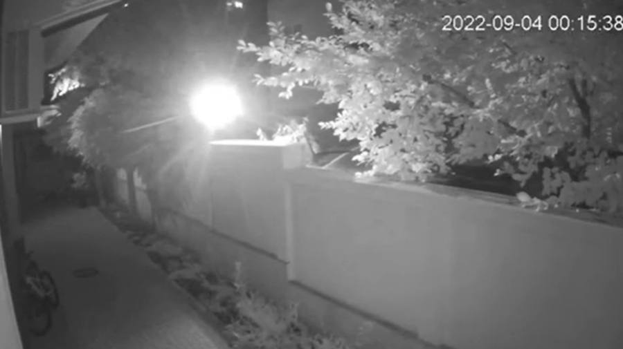 Dodon a publicat imagini cu momentul în care a izbucnit incendiul pe terasa din dosul casei sale