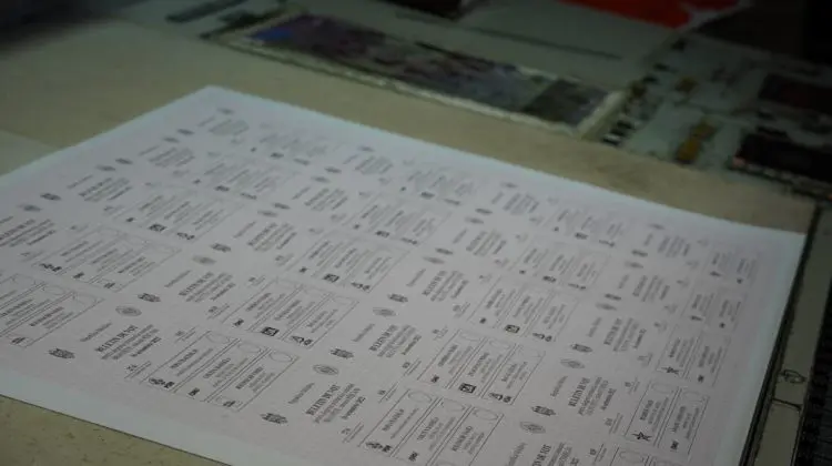 Moldovenii din trei localități își aleg azi primarul. Prezența la vot
