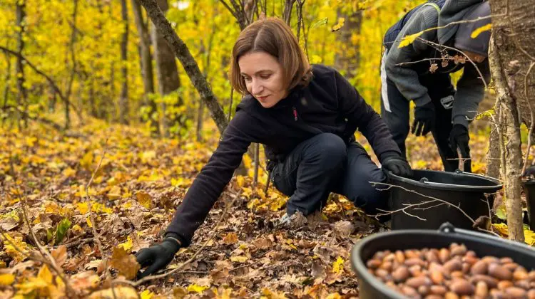 FOTO Maia Sandu, implicată la înverzire: „Să lăsăm generațiilor o țară cu mai multe păduri și cu un mediu mai sănătos”