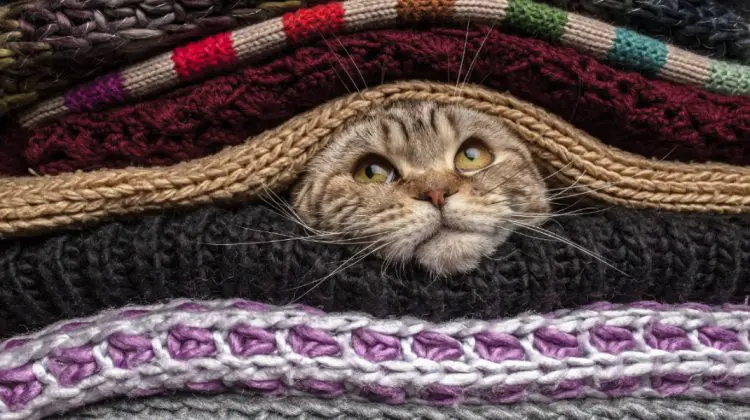 Zi cu soare! Azi vom avea maxime de până la 17°C