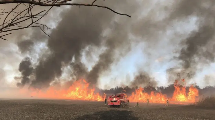 Au fost sau nu afectate sondele de petrol din sudul țării, în urma incendiului? Detalii de la Ministerul Mediului