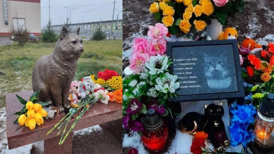 FOTO, VIDEO La Sankt Petersburg a fost inaugurat monumentul motanului Kuzia, care a fost torturat până la moarte