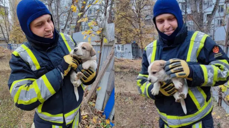 FOTO Patruped norocos! Salvatorii au salvat un cățeluș căzut într-o groapă din Capitală
