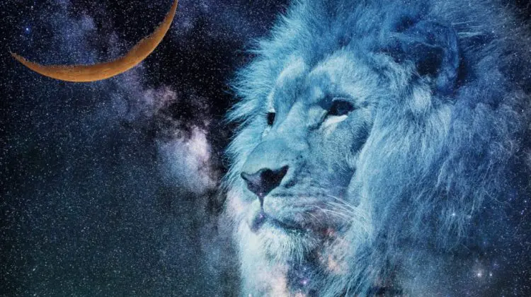 HOROSCOP 22 noiembrie: Leii trebuie să-și lase orgoliul de-o parte, iar Balanțele să fie mai precaute