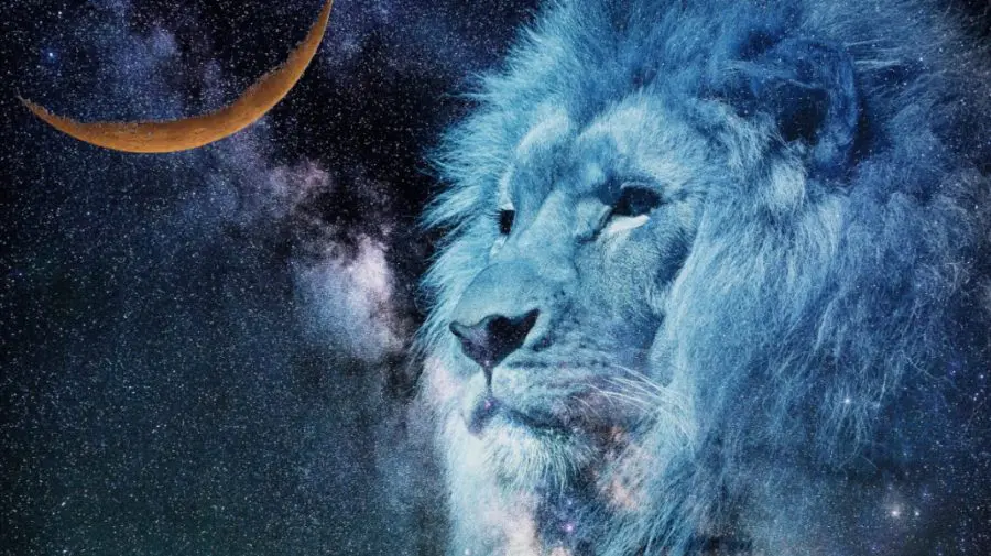 HOROSCOP 22 noiembrie: Leii trebuie să-și lase orgoliul de-o parte, iar Balanțele să fie mai precaute