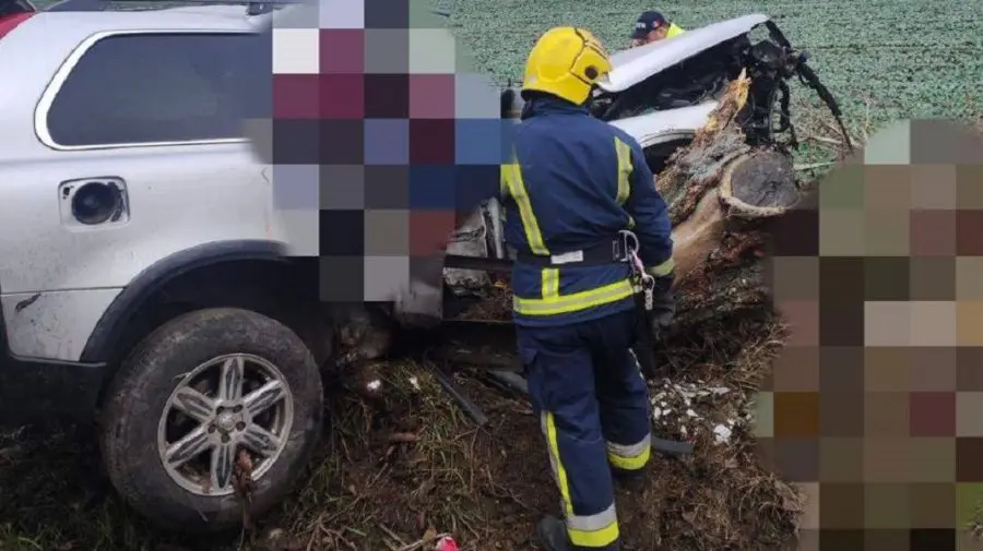 Trei persoane au decedat, în urma unui grav accident, produs la Anenii Noi