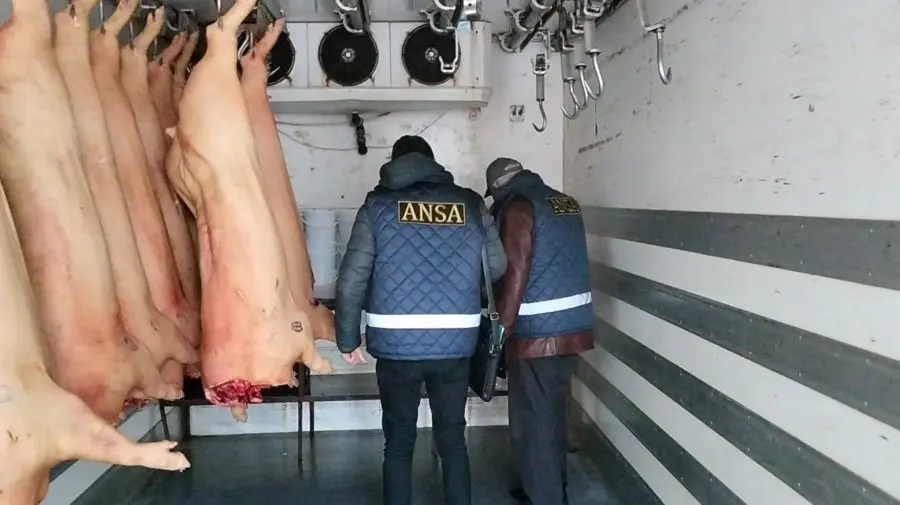 FOTO Spațiile nu sunt dezinfectate! Ce nereguli a găsit ANSA în unitățile de producere a cărnii