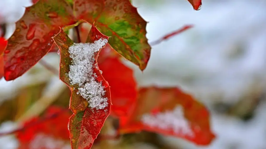 Ger, ninsoare, lapoviță sau ploaie slabă? Previziuni METEO pentru această săptămână