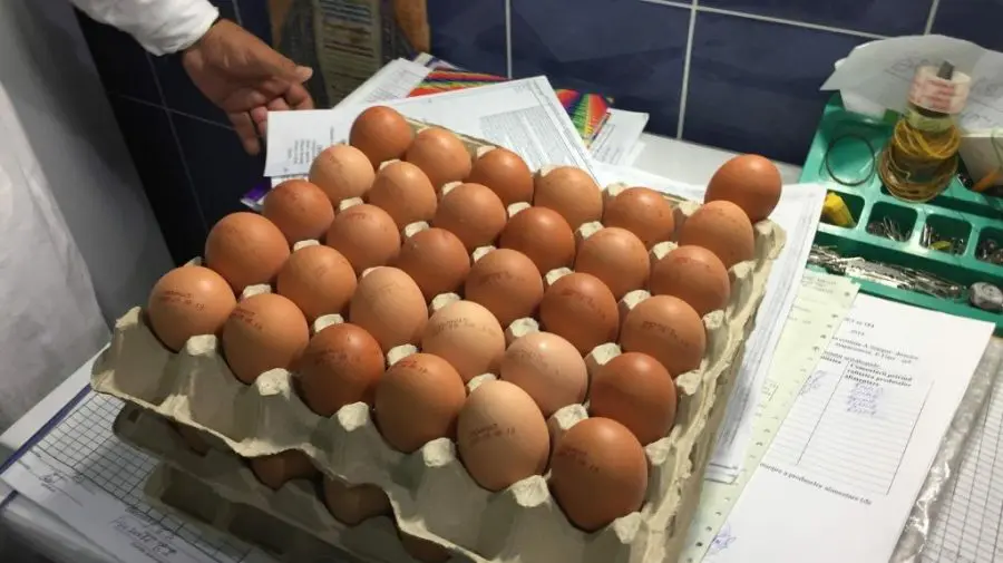 NU mânca ouă din acest lot! ANSA spune că sunt infectate cu salmonela
