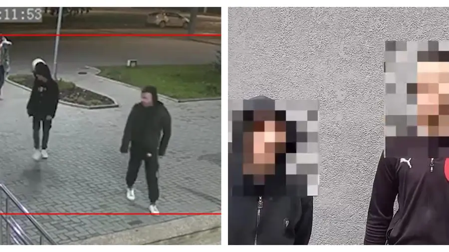 VIDEO Identificați și „chemați la covor”! Ce spune poliția despre inidizii care au făcut prăpăd în parcul Alunelul
