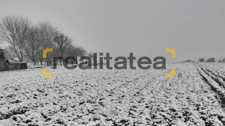 Moldovenii s-au culcat toamna și s-au trezit iarna. FOTO cu „povestea albă” de la nordul țării