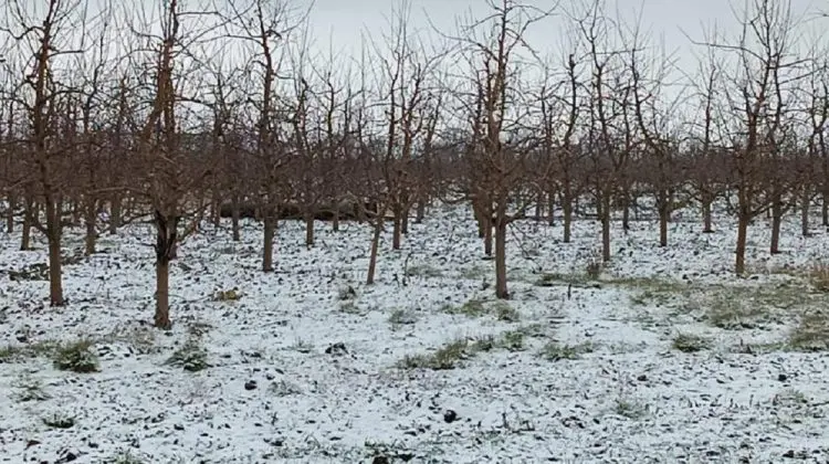Încă o rachetă a ajuns în Moldova! În timpul bombardamentelor din Ucraina, un proiectil a fost descoperit la Briceni