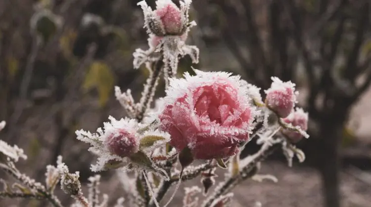METEO: Vreme bună de stat sub plapumă! Ce temperaturi ne așteaptă la început de weekend