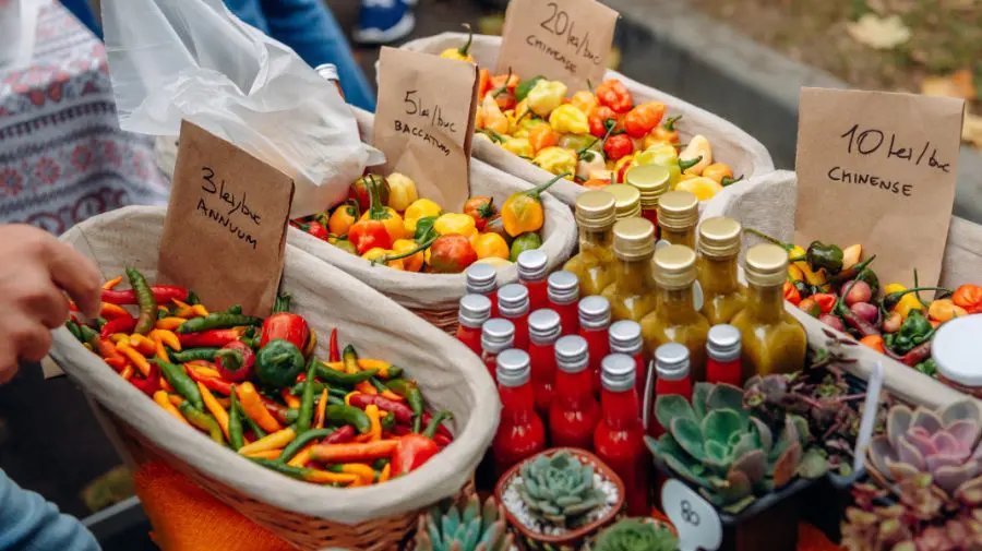Gerul nu-i sperie pe producătorii locali! Ce comori poți găsi la iarmoarecele din Capitală în acest weekend