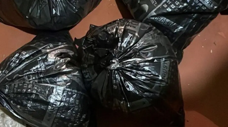 VIDEO Marijuană de circa 400.000 de lei, ridicată la Anenii Noi. Drogurile erau vândute în Capitală