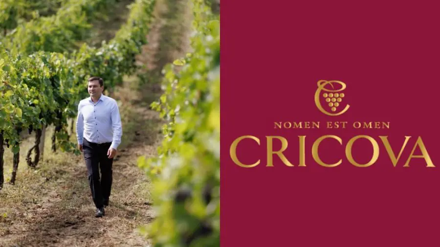 INTERVIU Sorin Maslo, director interimar Cricova: Am crescut cifra de afaceri cu 20%. Record de struguri prelucrați