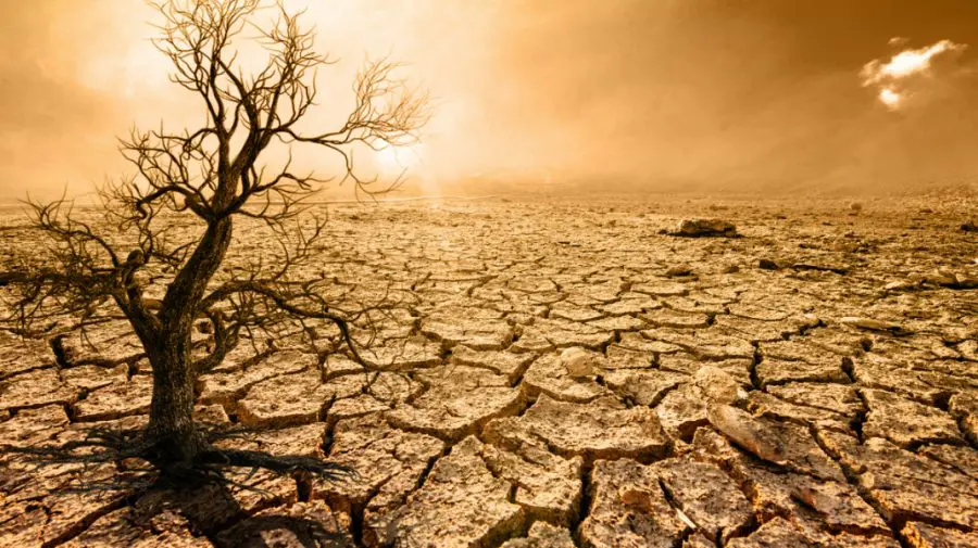 Urmează 5 ani de foc pentru planetă: secetă intensă și temperaturi record. Raport îngrijorător al OMM