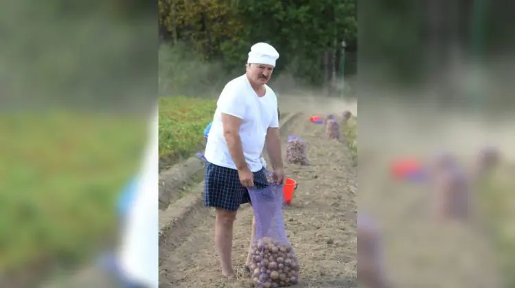 Belarus a anunțat ridicarea restricțiilor privind importul mai multor produse agricole din UE, inclusiv a cartofilor