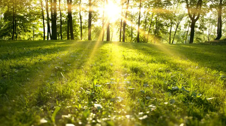 Vreme caldă și cer noros: Temperaturile urcă până la +25°C