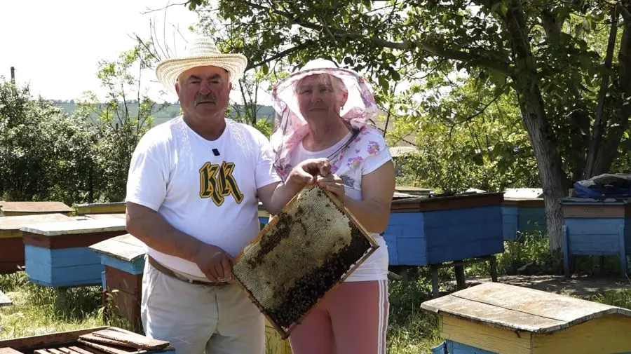 În armonie cu albinele. Povestea unei familii care trăiește ecologic, din iubire și respect pentru natură