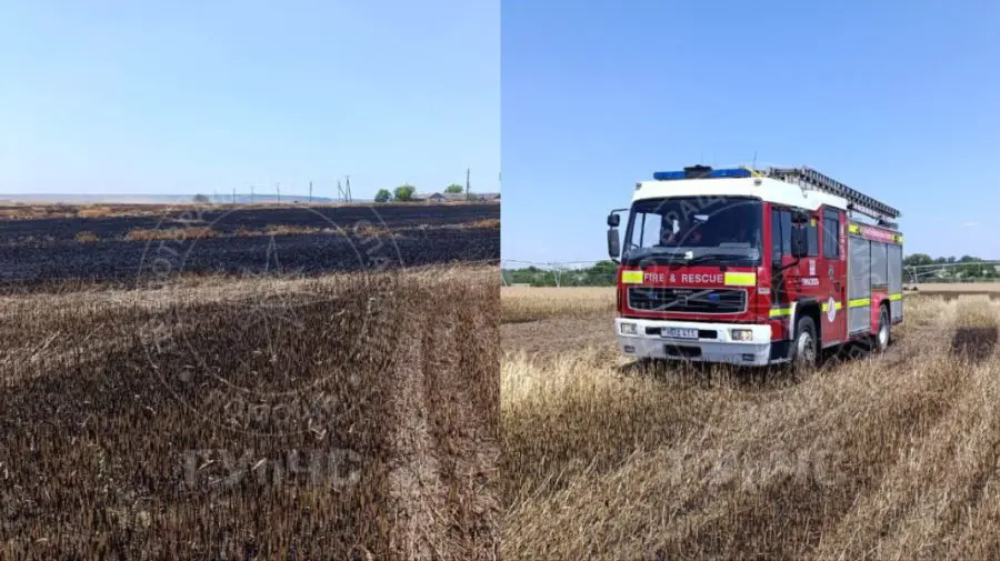 VIDEO 50 de hectare de grâu, mistuite de incendiu. Trei echipaje de pompieri au intervenit