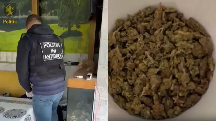 VIDEO Percheziții și rețineri în Chișinău. Polițiștii au anihilat o afacere cu marijuana și hașiș