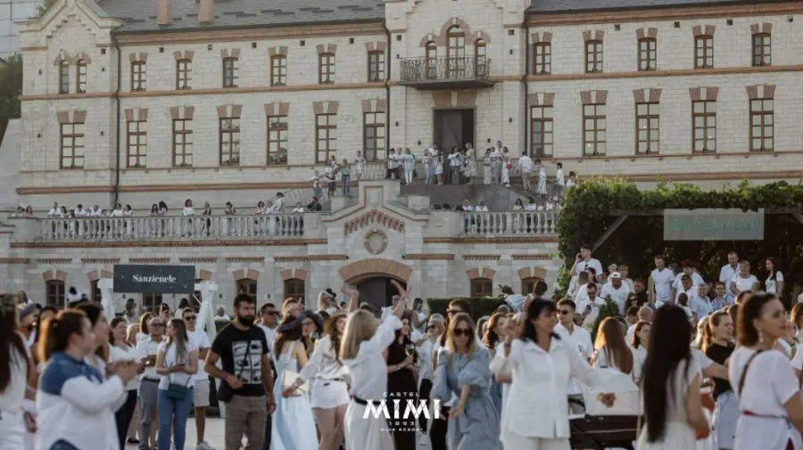 Zdob şi Zdub, Catharsis şi Felicia Dunaf invită la Noapea Sânzienelor, la Castel Mimi
