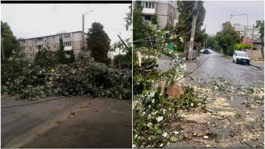 Trafic paralizat pe strada Pandurilor din cauza prăbușirii mai multor copaci
