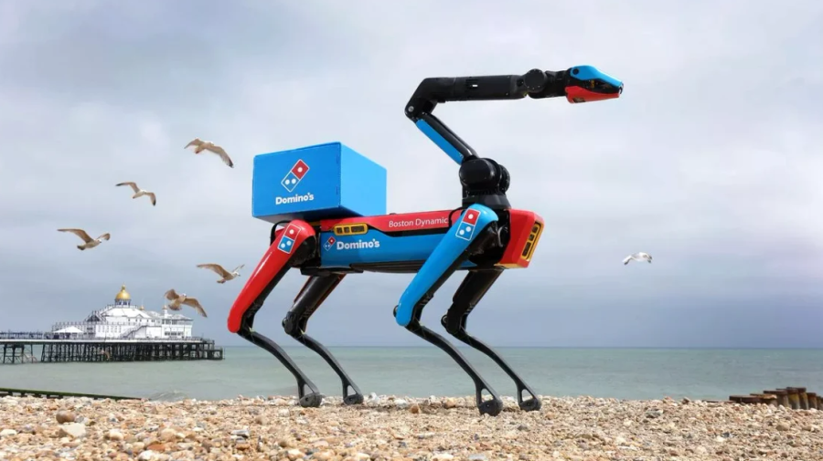 Câine-robot pe litoral: livrează pizza și păzește comanda de hoți înaripați