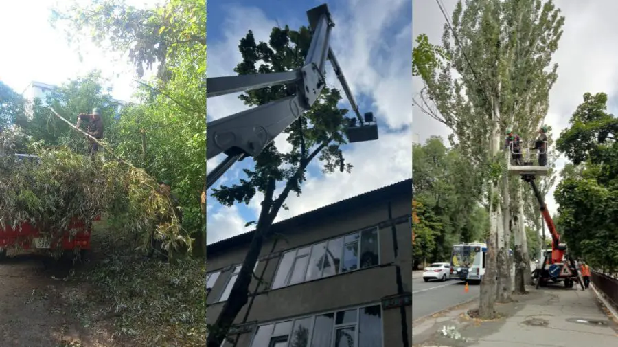 Avarii în Capitală din cauza vântului puternic. Muncitorii de la Spații Verzi au intervenit în 13 locații