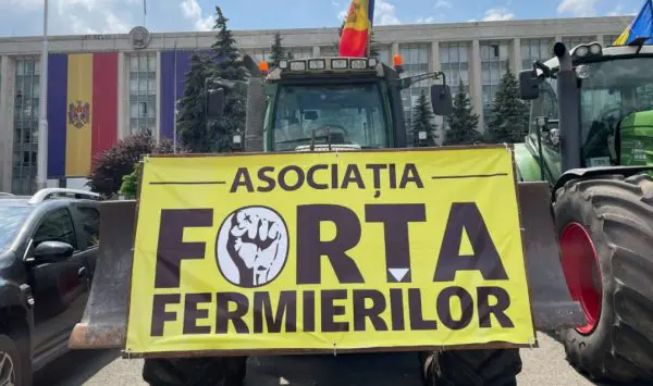Forța Fermierilor cere prelungirea licențierii importului cerealelor și oleaginoaselor