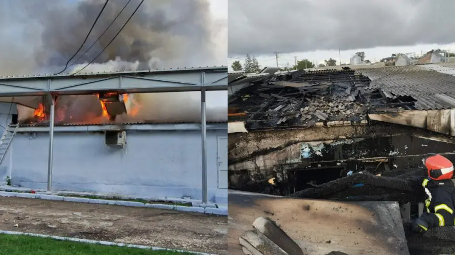 Incendiu la o fabrică de păsări din Edineț. Pompierii au salvat 36.000 de găini