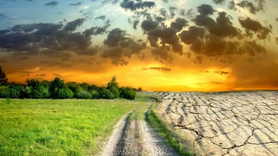 Date alarmante: temperatura medie anuală din Moldova a crescut cu 2 grade