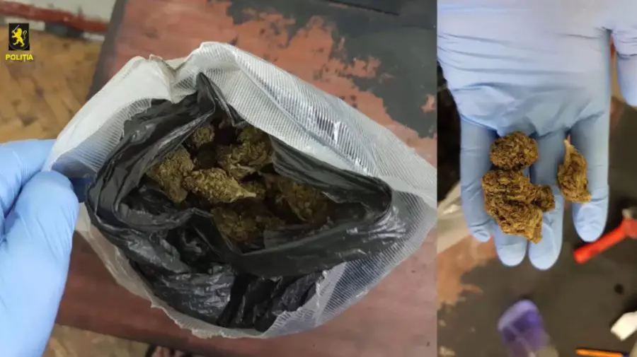 VIDEO Circa 2 kg de marijuana au fost descoperite într-o cutie. Poliția a reținut o femeie și un bărbat