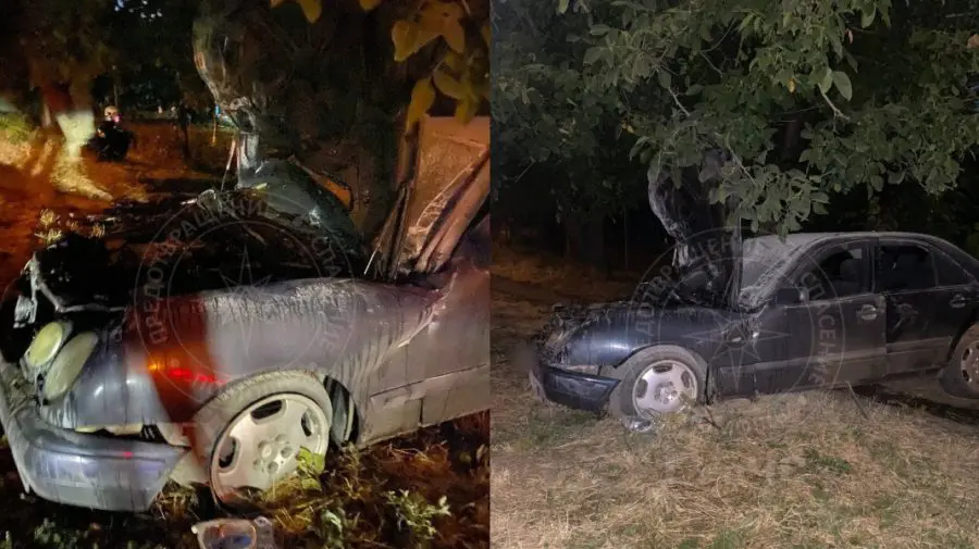 FOTO A vrut să evite un câine, dar a intrat cu mașina în copac. Șoferul a ajuns la spital