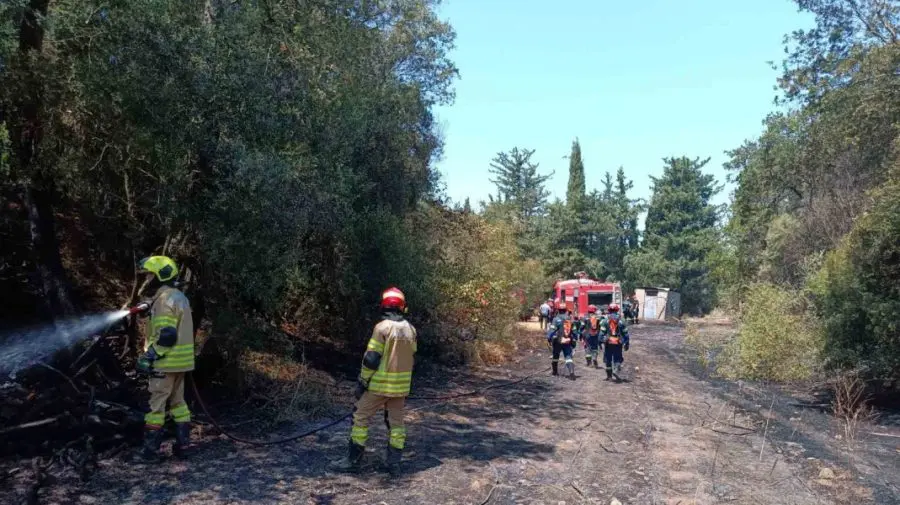 Pompierii moldoveni detașați în Grecia au intervenit cu succes în prima misiune de lichidare a unui incendiu de pădure