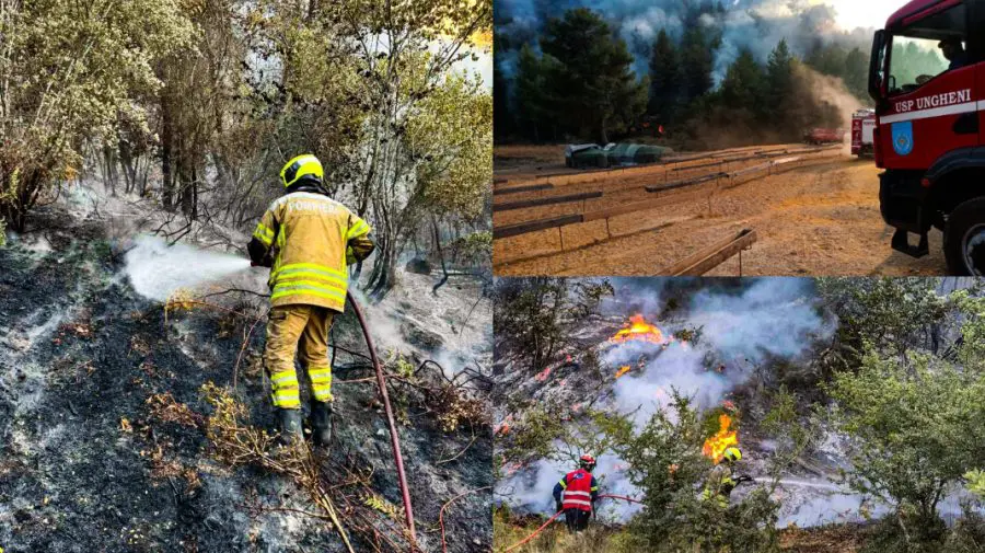 FOTO Pompierii moldoveni detașați în Grecia, într-o nouă misiune: Au luptat timp de 5 ore cu flăcările devastatoare