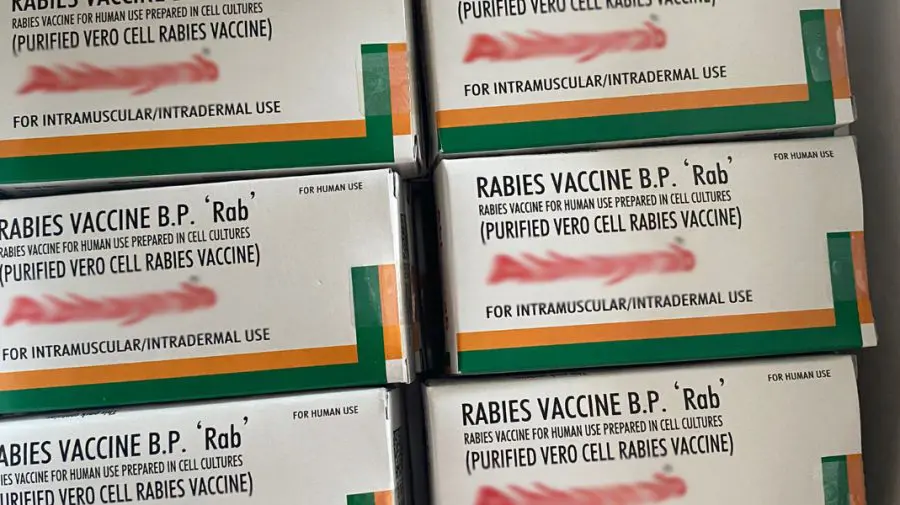 Peste 4400 de doze de vaccin antirabic au ajuns în Republica Moldova. Câți bani a alocat CNAM?