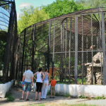 VIDEO Grădina Zoologică din Chișinău anunță un nou program de activitate