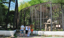 VIDEO Grădina Zoologică din Chișinău anunță un nou program de activitate