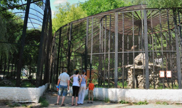 VIDEO Grădina Zoologică din Chișinău anunță un nou program de activitate