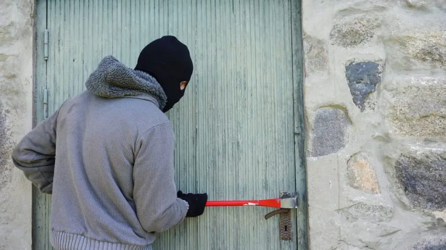 „Noul Fantomas” care a spart vile de lux în București și Ilfov, capturat de polițiști. E din Republica Moldova
