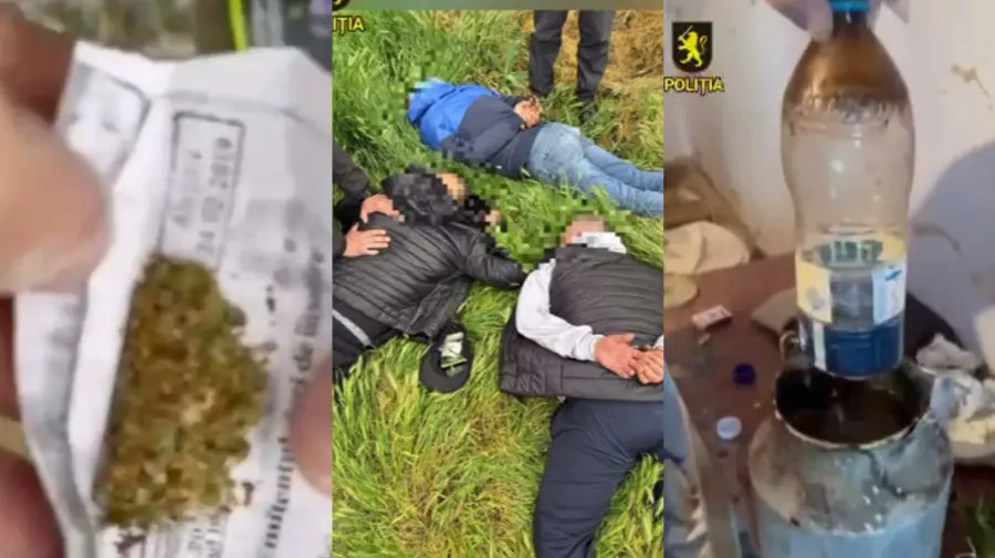 Plantație de cânepă și mac la Taraclia. Patru persoane, prinse cu droguri de 400 000 de lei