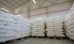 Moldova exportă grâu cu 3,71 lei/kg și importă făină cu 7,69 lei/kg