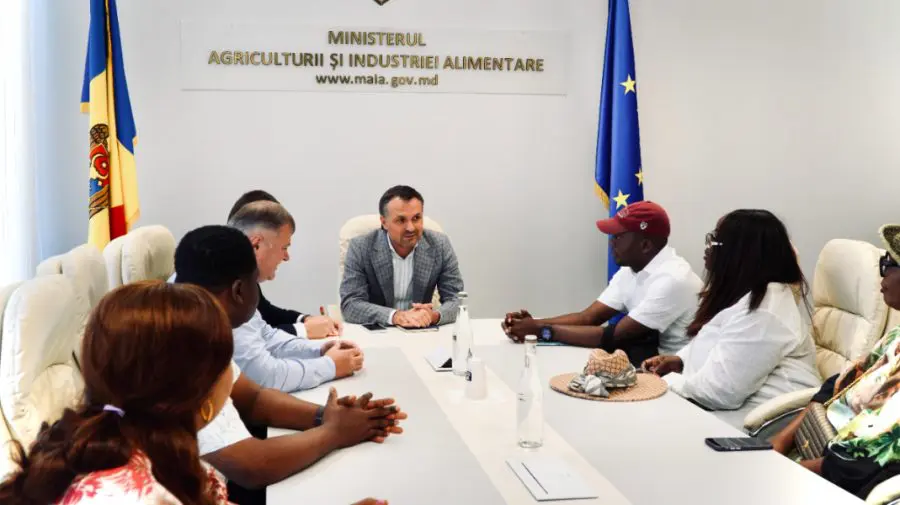 Nigeria, principala piață africană pentru vinurile moldovenești