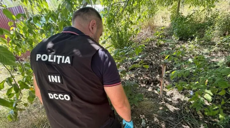 VIDEO Droguri de 400.000 de lei și o minoră implicată: Rețea ilegală, destructurată de ofițerii INI