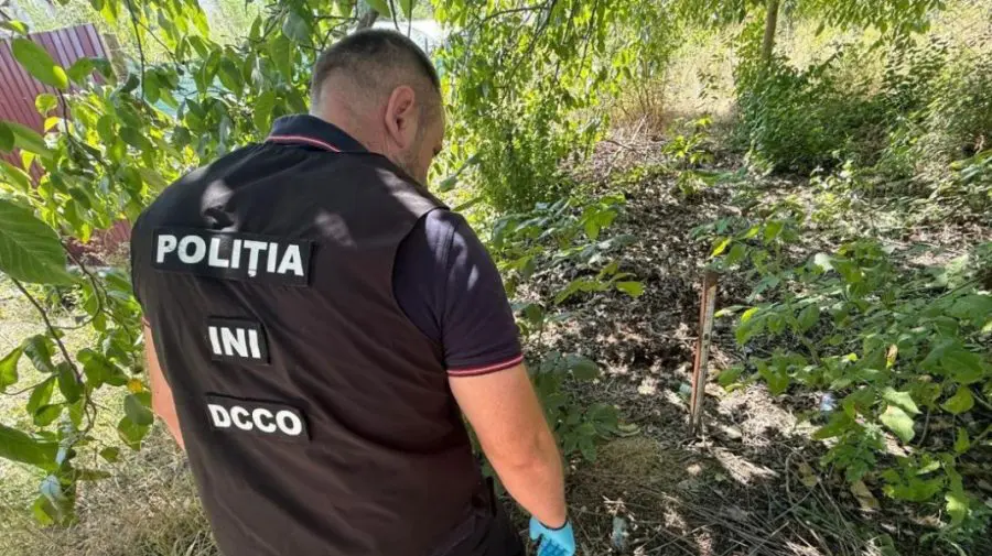 VIDEO Droguri de 400.000 de lei și o minoră implicată: Rețea ilegală, destructurată de ofițerii INI